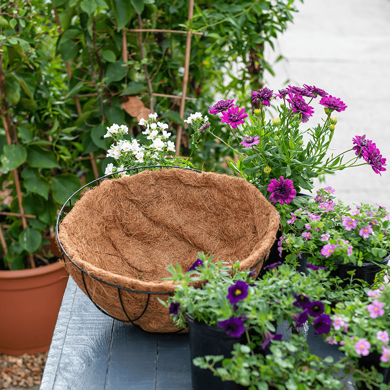 Create your own hanging basket 