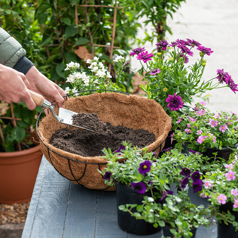 Create your own hanging basket 