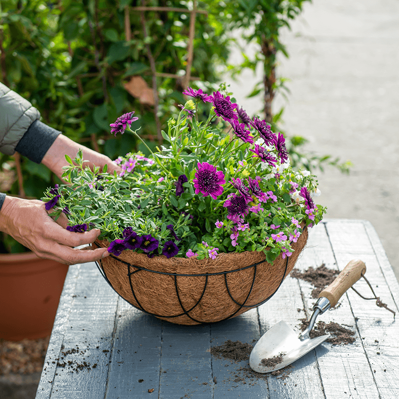 Create your own hanging basket 