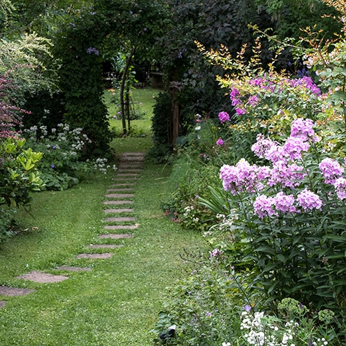 Garden path lined with purple flowers and lush greenery.