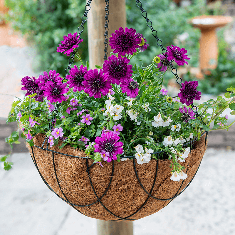 Create your own hanging basket 
