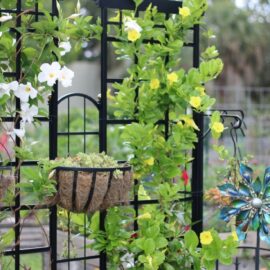 Work Wonders with Trellises