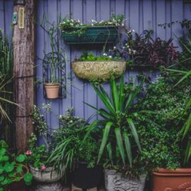Create an Indigenous Hanging Basket