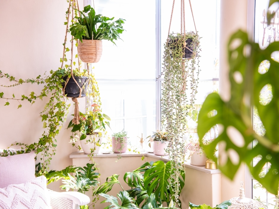 Interior space filled with hanging planters and trailing vines, creating an urban jungle aesthetic with lush greenery and natural textures.