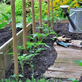 Water Wise – Vegetable Garden