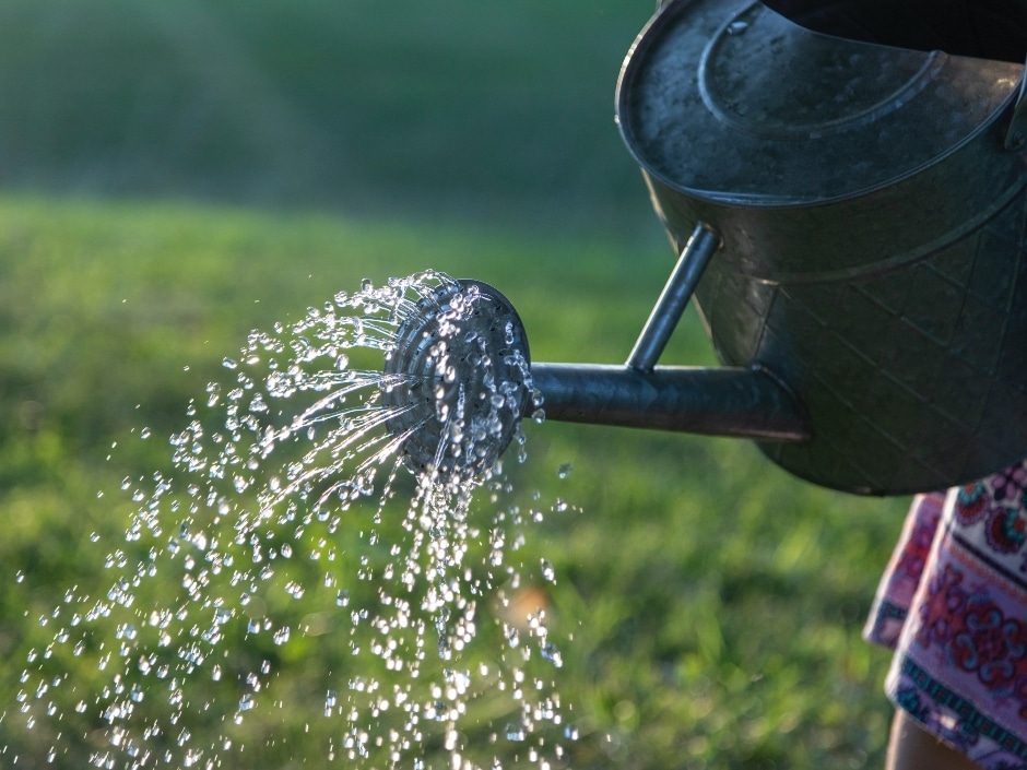 A person watering plants with a watering can causing a shower of water droplets to fall onto the ground