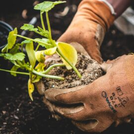 Getting your Hands into the Earth