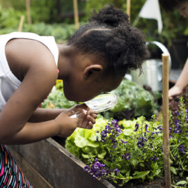 Gardening Activities For Kids