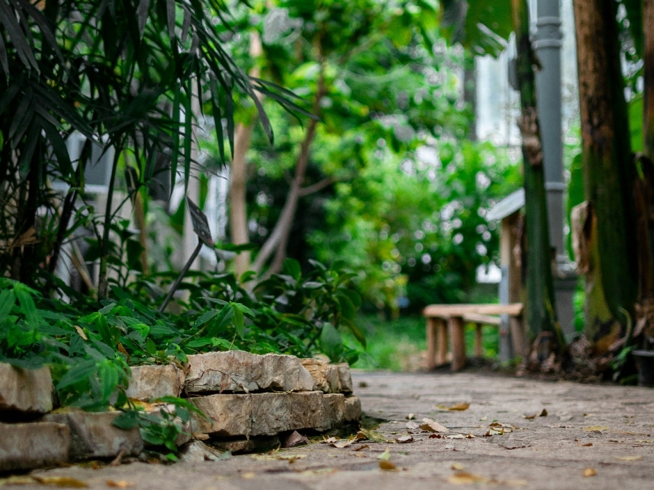 Garden path with stone border, lush greenery and wooden bench, creating a peaceful outdoor setting.