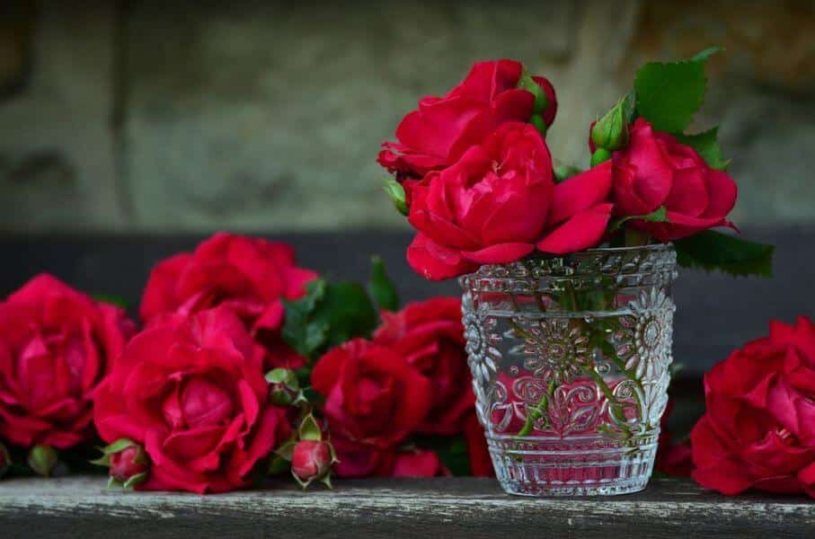 Red roses in a clear glass vase on a wooden table with more red roses laying behind the vase.
