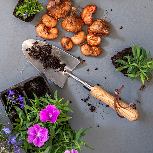 Dried marigold petals, soil, purple flowers, and gardening tools on a grey surface.