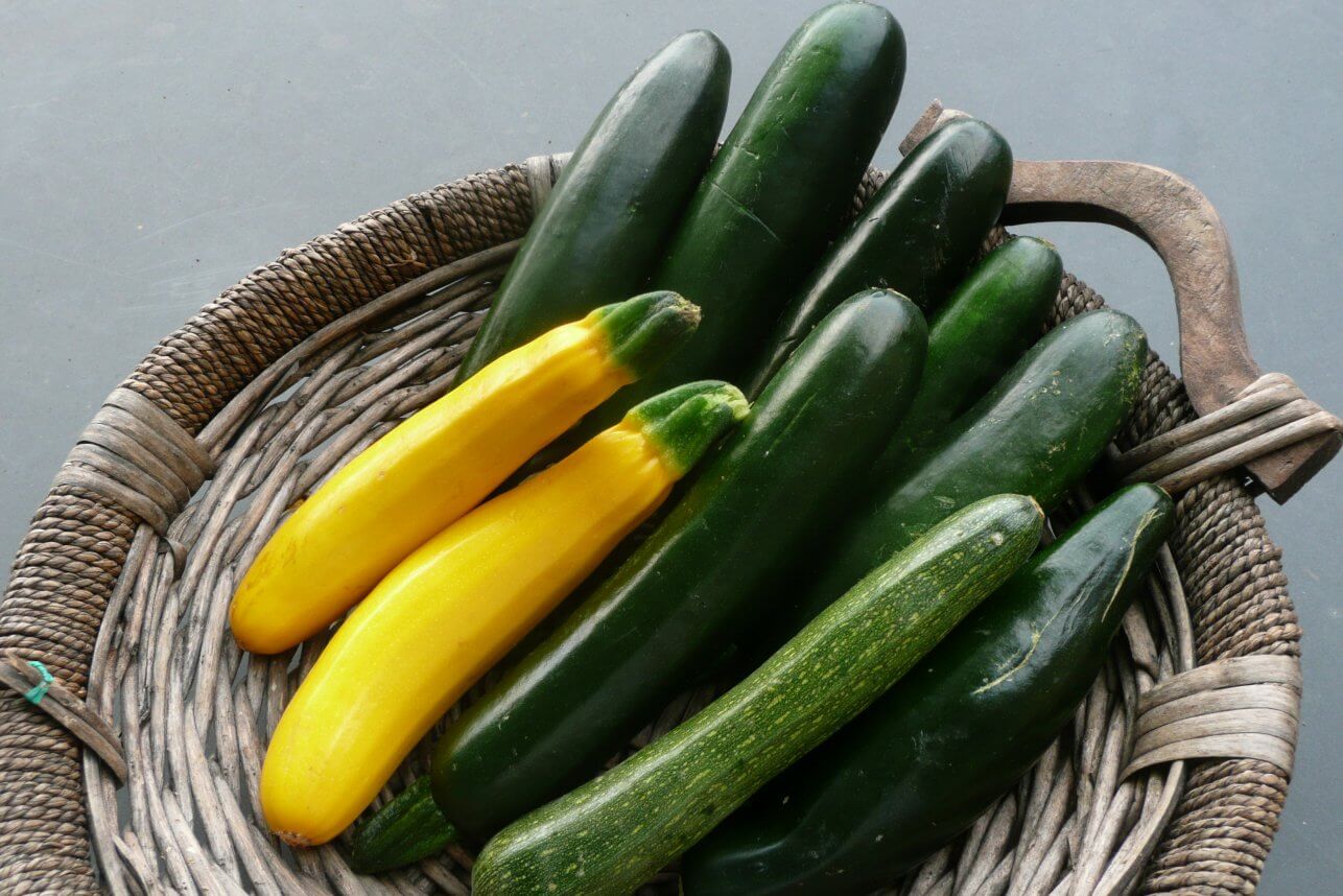 Baby Marrows, Courgettes or Zucchinis in a wicker basket.