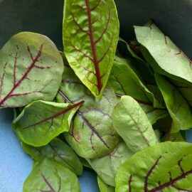Sorrel
