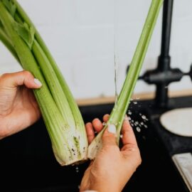 Celery