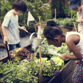 Gardening idea for kids