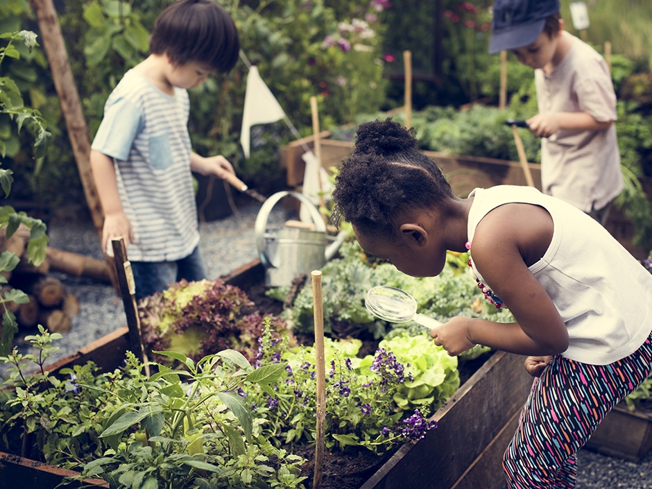 Three children tending to a garden, examining lettuce and flowers in a raised bed.