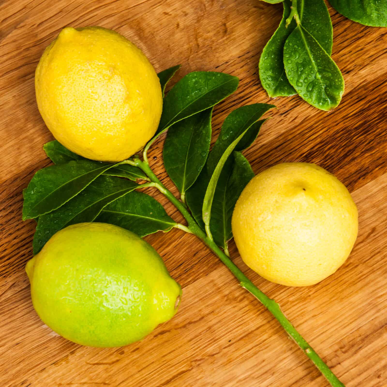 Two lemons and a lime with green leaves on a wooden surface.