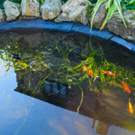 How to build a pond using pond liner