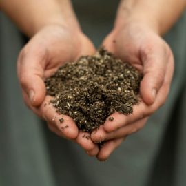 Give your garden soil a boost