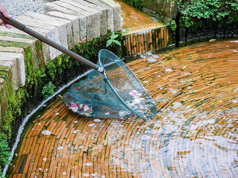 A person's hand holding a pool net in a shallow garden pond.