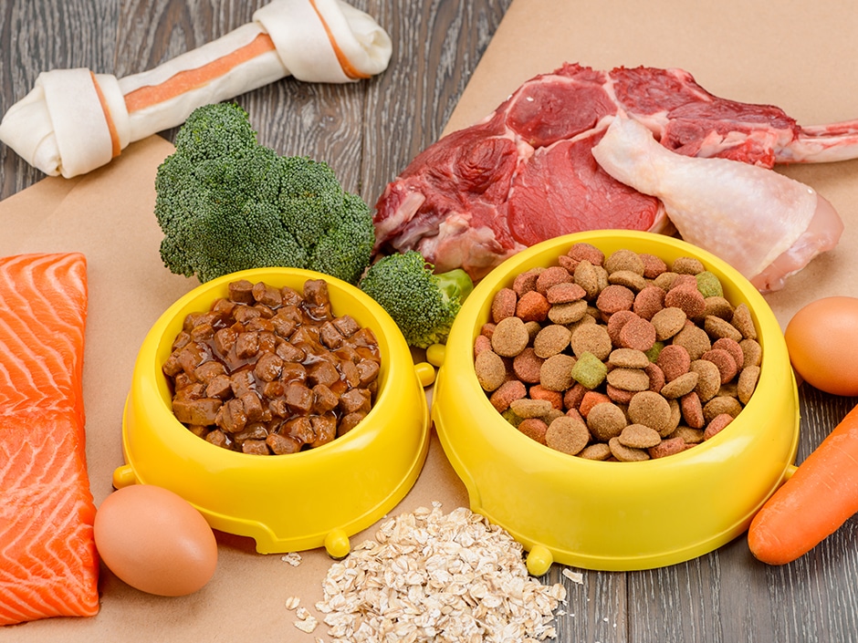 Raw dog food ingredients including broccoli, red meat, bone meal, carrots, eggs, and wet food in yellow bowls.