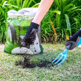 How to fertilise your garden
