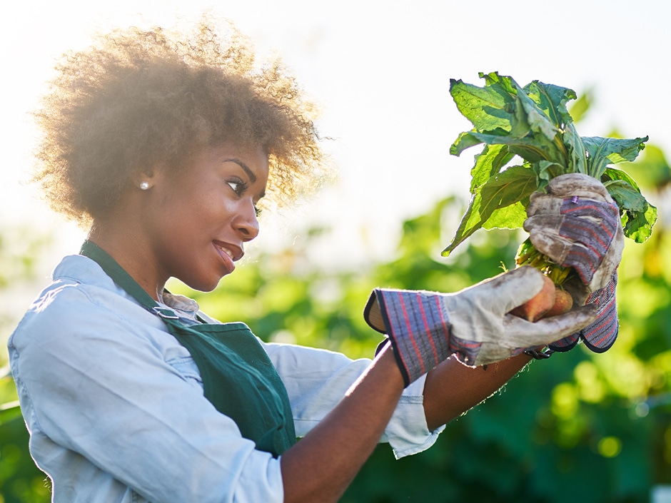 A woman wearing a green apron and gardening gloves holding and looking at a seedling, against a blurred background of green trees.