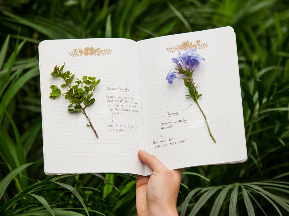 Hands holding an open journal with pressed flowers and handwritten notes amidst lush green foliage.