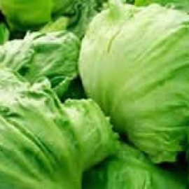 Grow your own lettuce