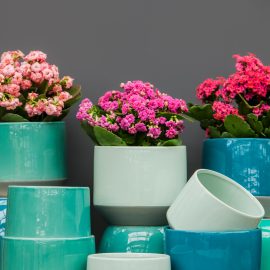 Small garden? Here’s what works!