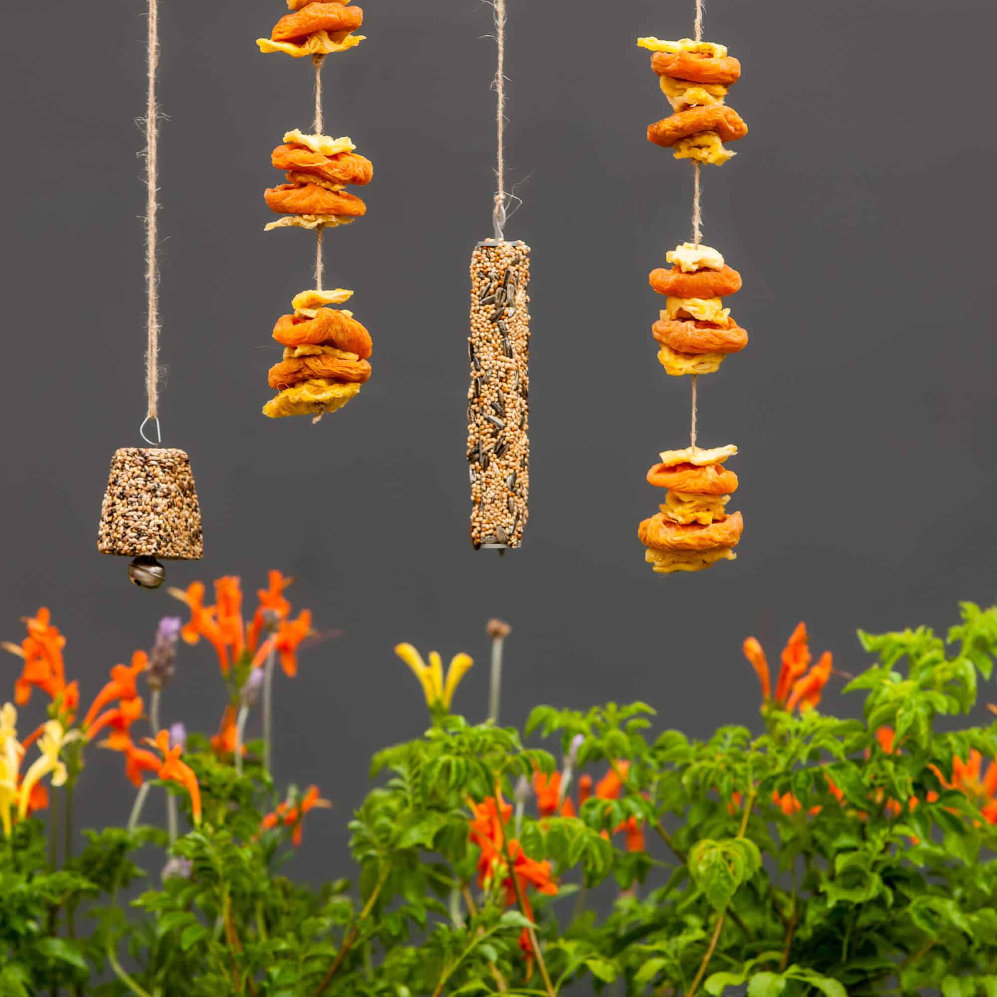 Bird feeders filled with seeds hanging from strings amidst orange and yellow flowers.