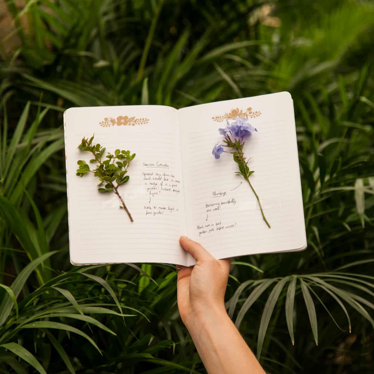 Hands holding an open journal with pressed flowers and handwritten notes amidst lush green foliage.