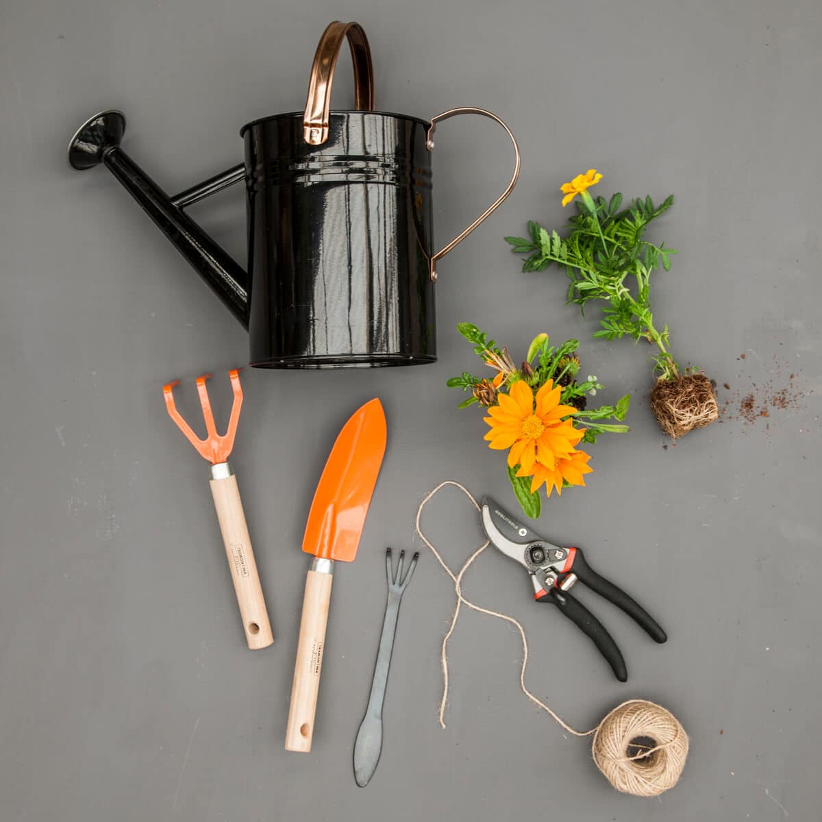 A watering can, trowel, shears, string and small potted yellow and green flowers.