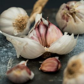 Spotlight on garlic