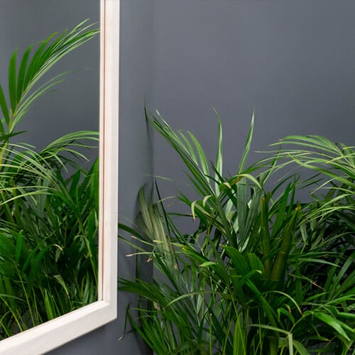 Potted houseplants sitting on a windowsill next to a white frame.