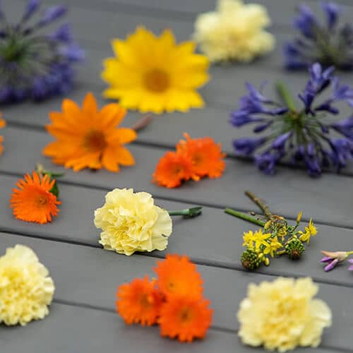 Variety of orange, yellow, purple and white flowers scattered on grey wooden planks.