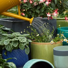 How to save water with container gardening