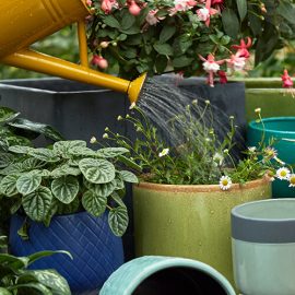 How to save water with container gardening