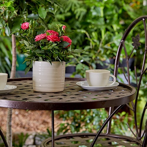 A small rose plant with red flowers in a white ceramic pot on a metal garden table with a teacup.