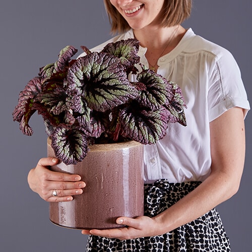 A smiling woman holding a potted plant with red and green leaves.