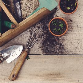 9 gift ideas to spoil a gardener (or yourself!)