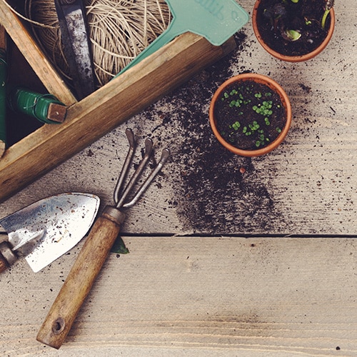 Gardening tools, potted seedlings, trowels, and soil on a wooden surface.