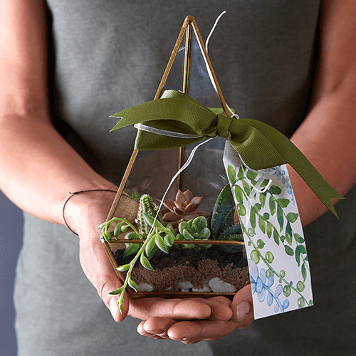 Hands holding a golden hanging planter filled with succulents and soil, with a gift tag and a green ribbon attached.