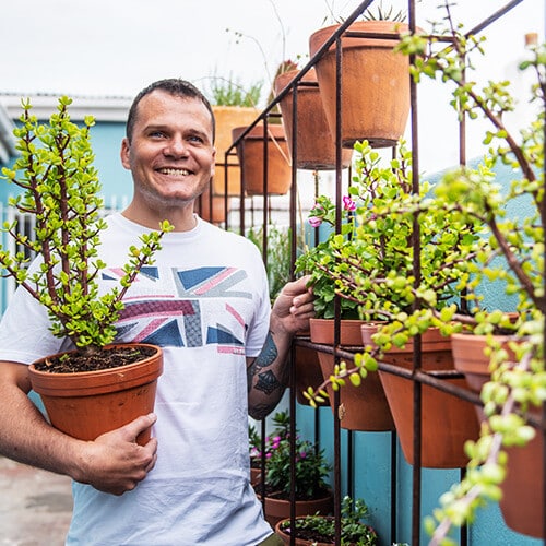 A smiling man holds a potted plant of spekboom.