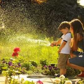 Waterwise lawn care