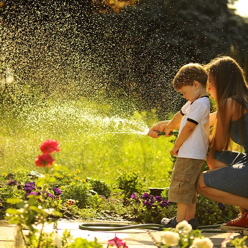 Top tips for creating a beautiful, waterwise lawn | Stodels Garden Centre