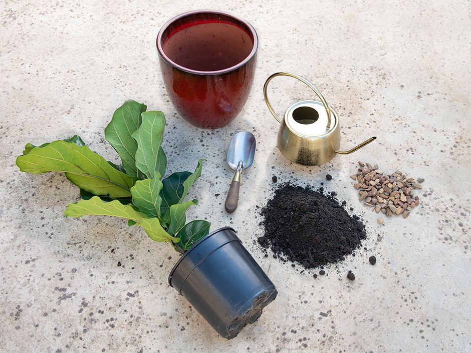 A plant pot, watering can, hand spade, plant, pebbles and soil on a concrete floor.