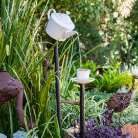 6 budget tips for transforming your garden