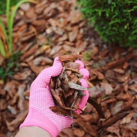 A beginner’s guide to mulching