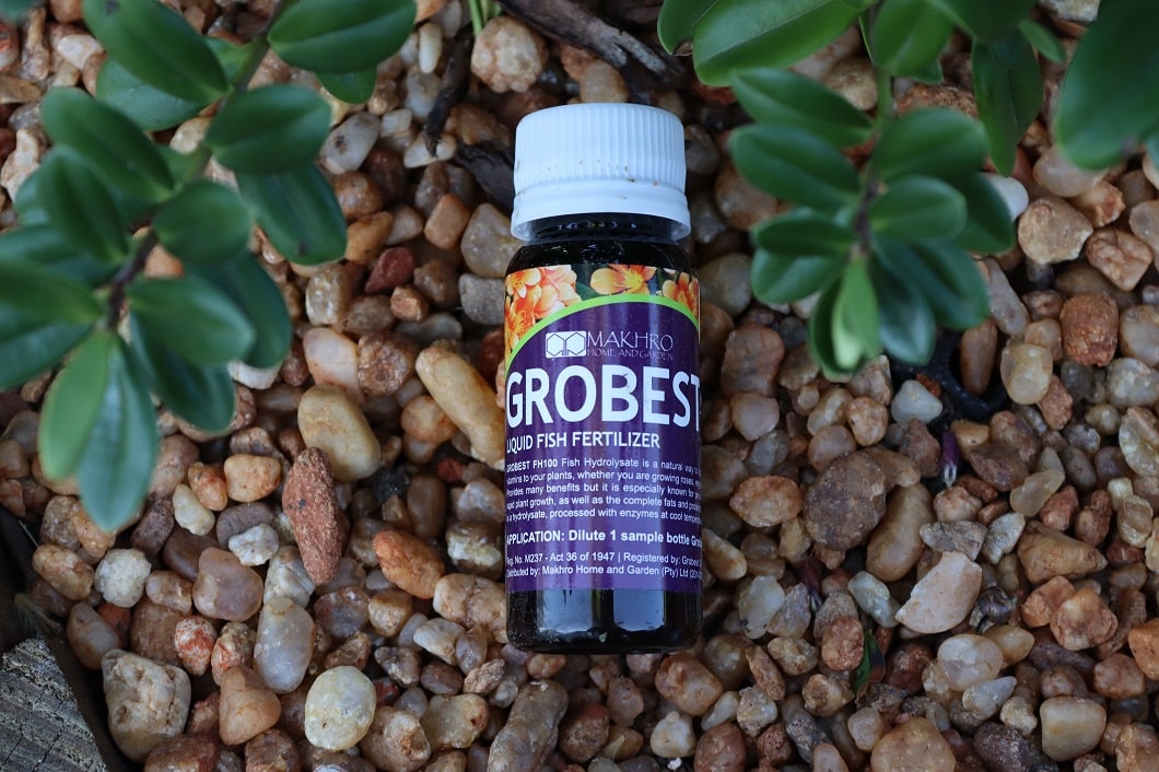 Liquid fish hydrolysate fertiliser in a bottle, placed on beige gravel under green leaves.